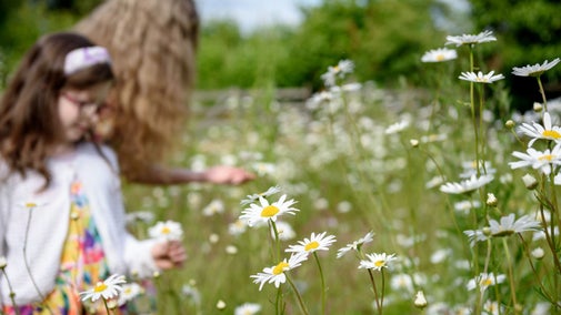 Children exploring at Stowe